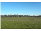1058 Kingsvale Road, Young NSW 2594