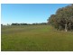 1058 Kingsvale Road, Young NSW 2594