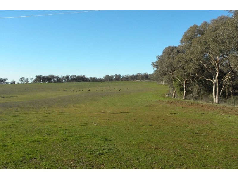 1058 Kingsvale Road, Young NSW 2594