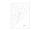 1058 Kingsvale Road, Young NSW 2594 Floorplan