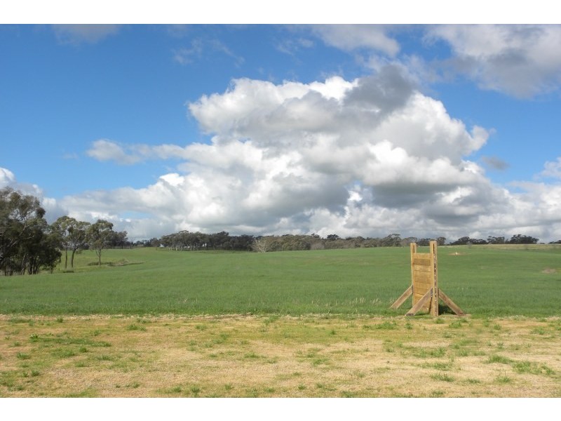 110 Bourkes Lane Lane, Young NSW 2594