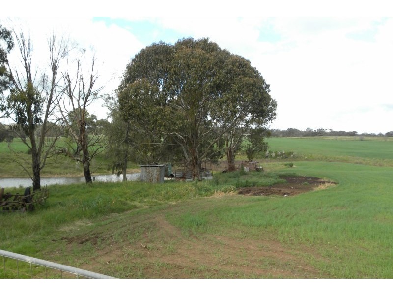 110 Bourkes Lane Lane, Young NSW 2594