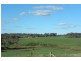 110 Bourkes Lane Lane, Young NSW 2594