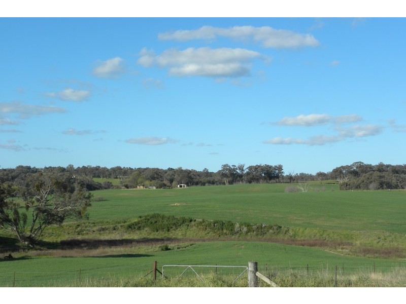 110 Bourkes Lane Lane, Young NSW 2594