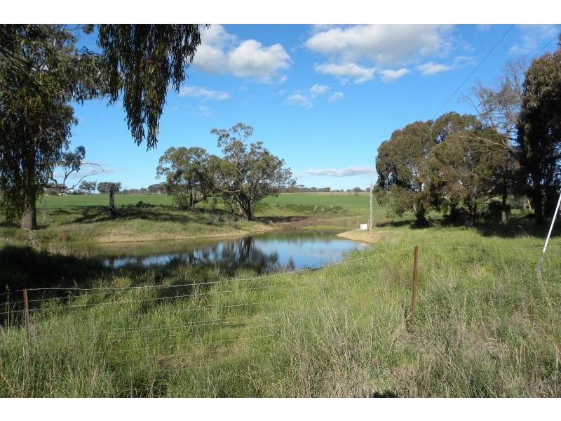 110 Bourkes Lane Lane, Young NSW 2594