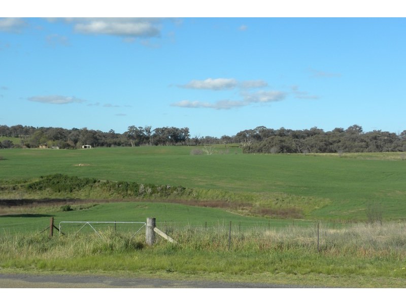 110 Bourkes Lane Lane, Young NSW 2594