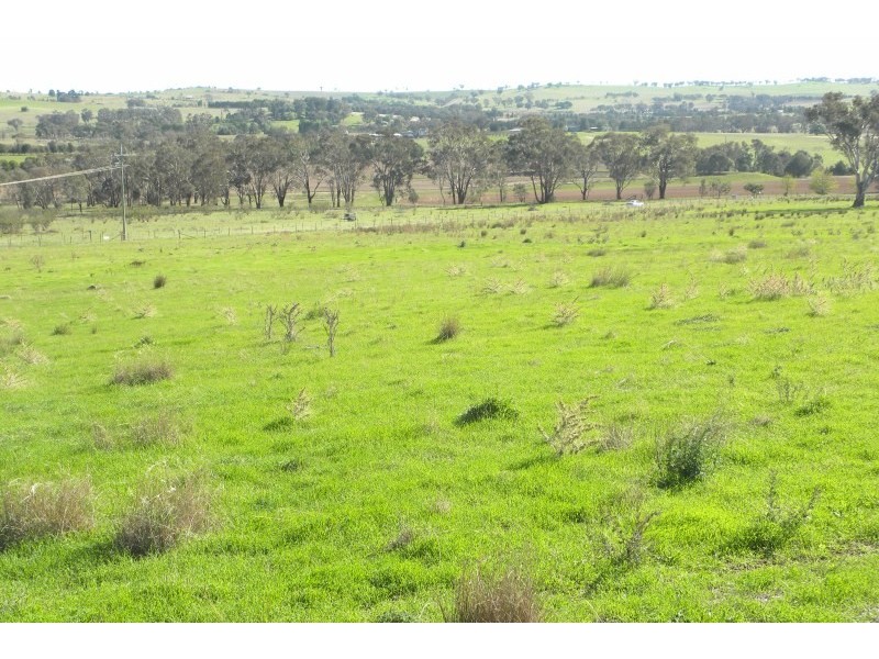 563 Wirrimah Road, Young NSW 2594