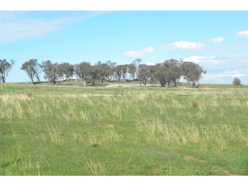 563 Wirrimah Road, Young NSW 2594