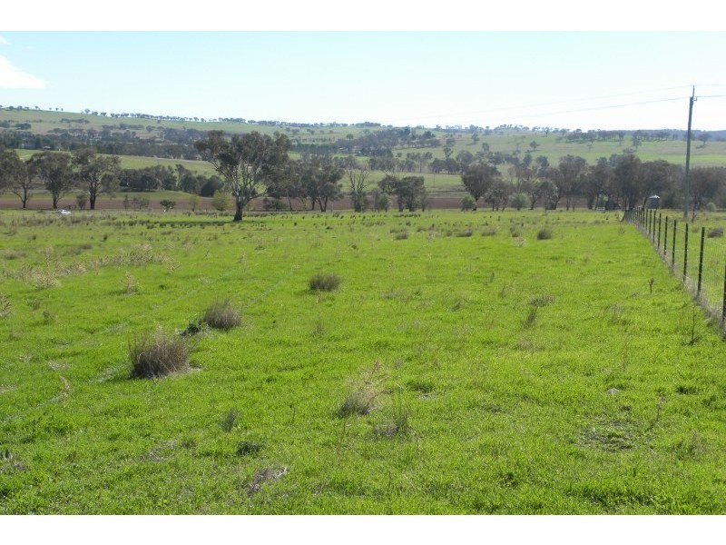 563 Wirrimah Road, Young NSW 2594