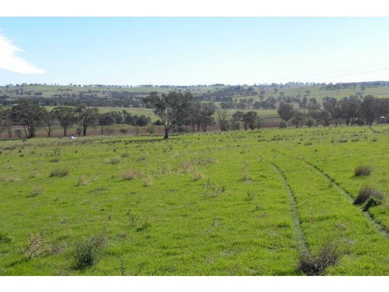 563 Wirrimah Road, Young NSW 2594