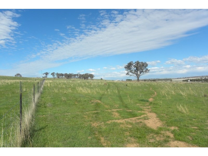 563 Wirrimah Road, Young NSW 2594