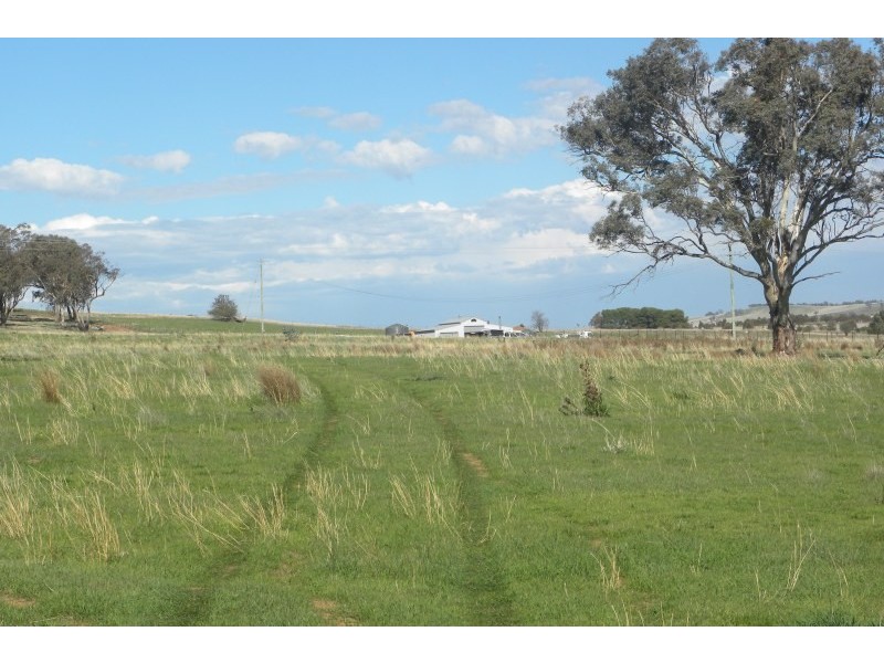 563 Wirrimah Road, Young NSW 2594