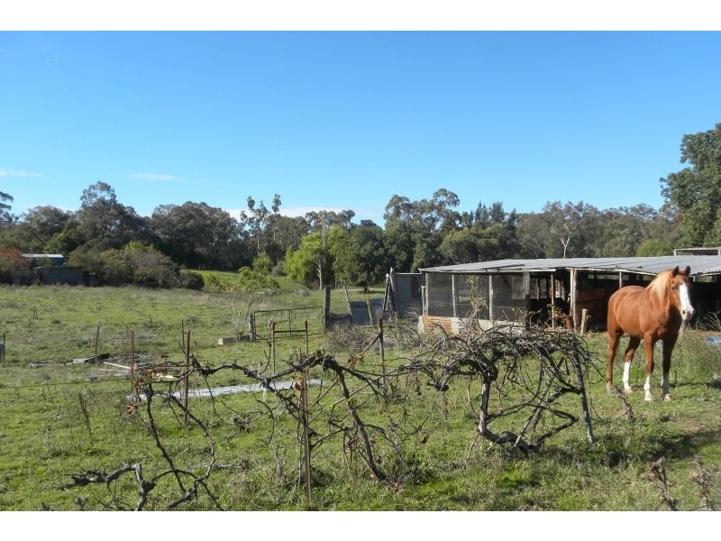 20  Telegraph Road, Young NSW 2594