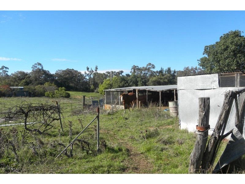 20  Telegraph Road, Young NSW 2594