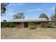 3539 Moppity Road, Young NSW 2594