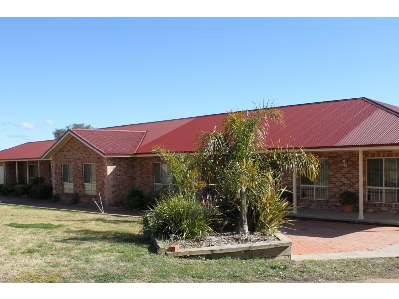 31 Commons Road, Young NSW 2594