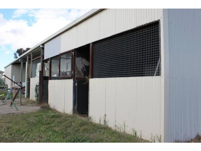 31 Commons Road, Young NSW 2594