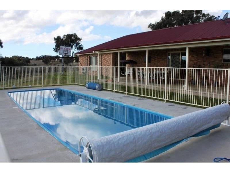31 Commons Road, Young NSW 2594