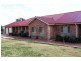31 Commons Road, Young NSW 2594