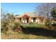 2700 Tubbul Road, Young NSW 2594