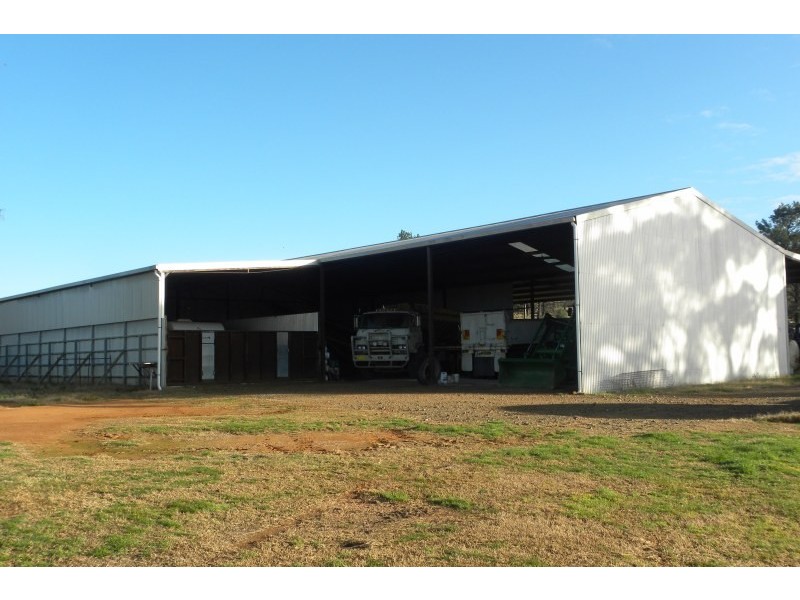 2700 Tubbul Road, Young NSW 2594