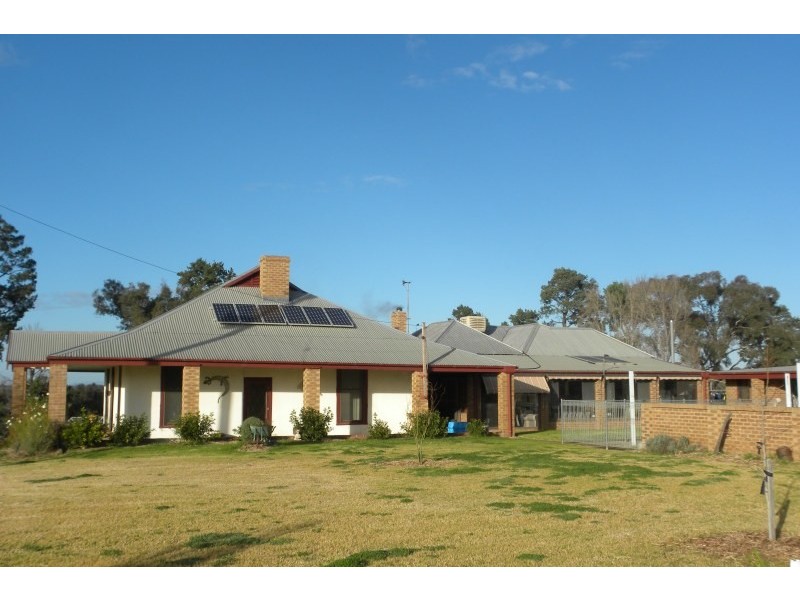 2700 Tubbul Road, Young NSW 2594