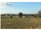 2700 Tubbul Road, Young NSW 2594