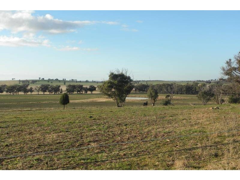 2700 Tubbul Road, Young NSW 2594