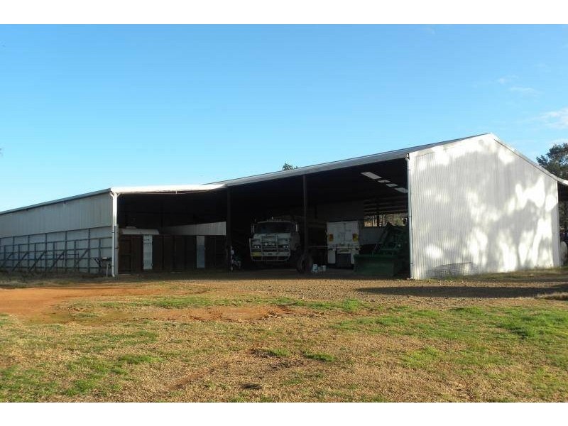 2700 Tubbul Road, Young NSW 2594
