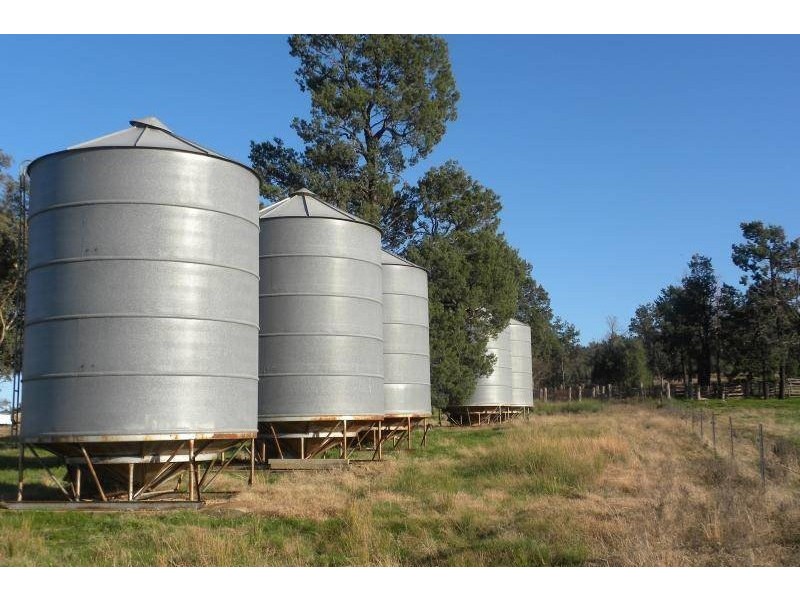 2700 Tubbul Road, Young NSW 2594