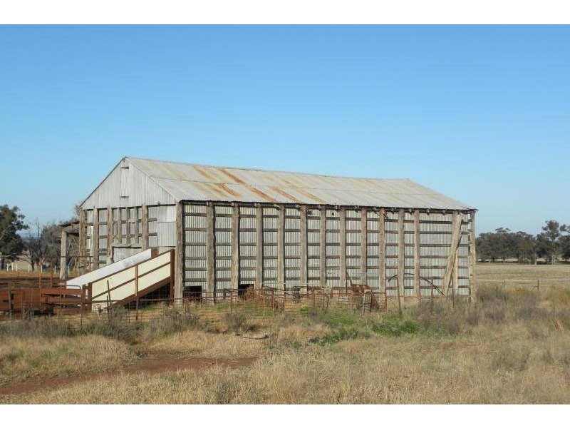 2700 Tubbul Road, Young NSW 2594