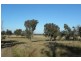 2700 Tubbul Road, Young NSW 2594