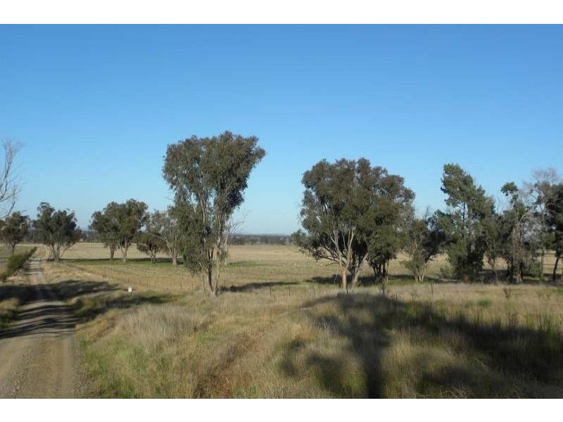 2700 Tubbul Road, Young NSW 2594