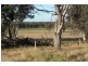2700 Tubbul Road, Young NSW 2594