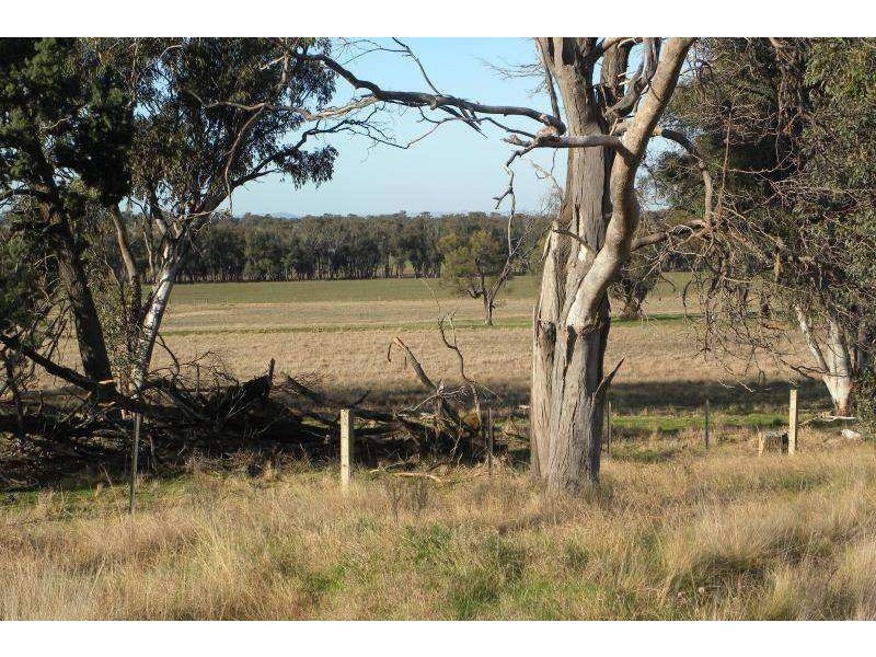 2700 Tubbul Road, Young NSW 2594