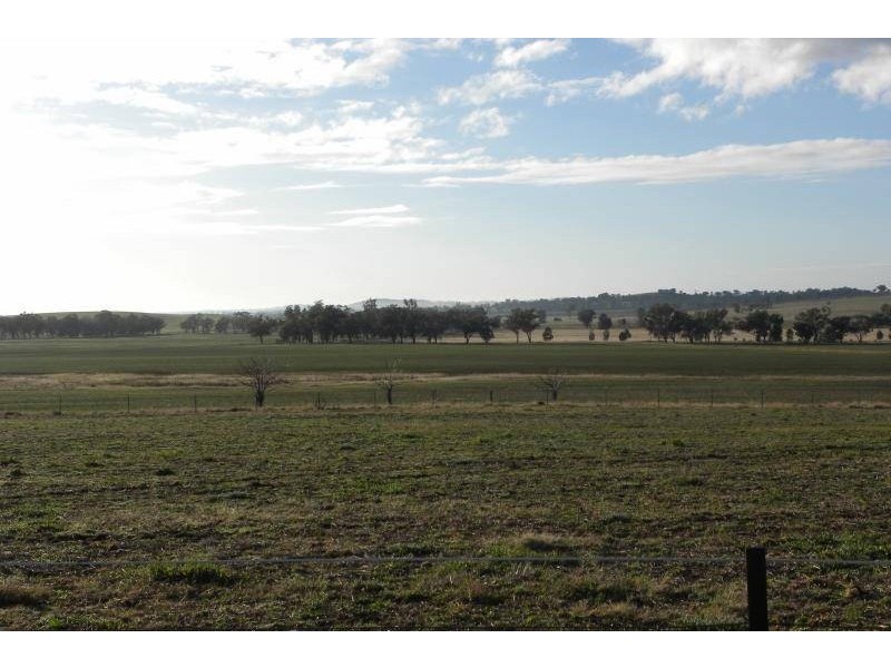 2700 Tubbul Road, Young NSW 2594