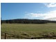 2700 Tubbul Road, Young NSW 2594