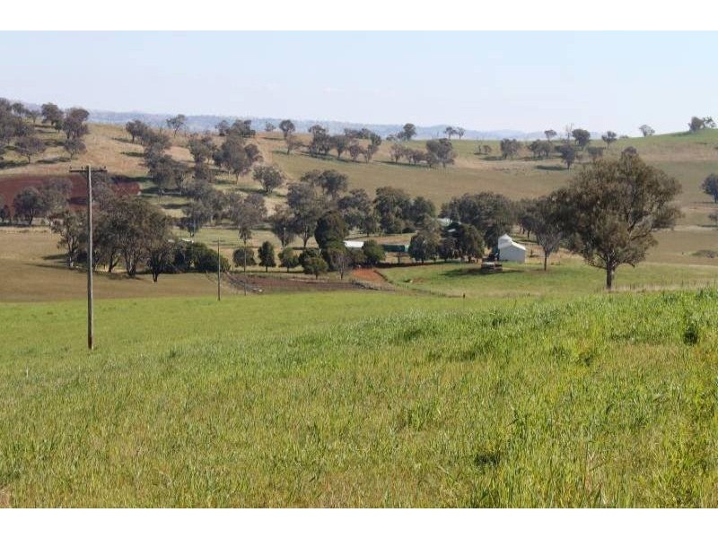 Old Gundagai Road, Cootamundra NSW 2590