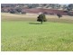 Old Gundagai Road, Cootamundra NSW 2590