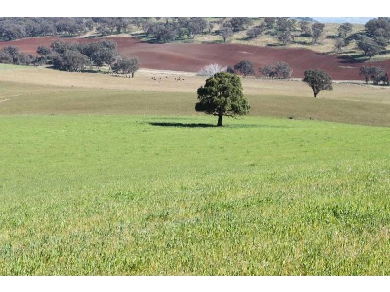 Old Gundagai Road, Cootamundra NSW 2590