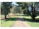 Old Gundagai Road, Cootamundra NSW 2590
