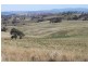 Old Gundagai Road, Cootamundra NSW 2590