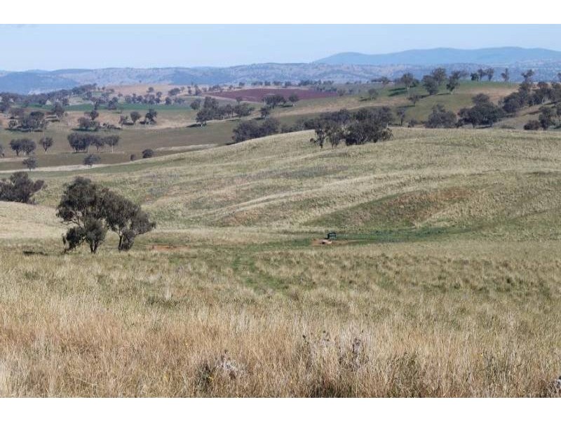 Old Gundagai Road, Cootamundra NSW 2590