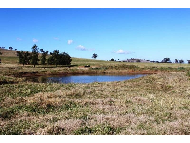 Old Gundagai Road, Cootamundra NSW 2590