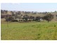 Old Gundagai Road, Cootamundra NSW 2590