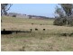 Old Gundagai Road, Cootamundra NSW 2590