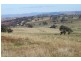 Old Gundagai Road, Cootamundra NSW 2590