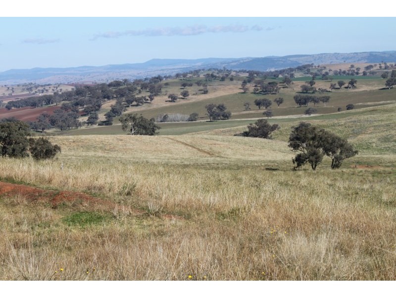 Old Gundagai Road, Cootamundra NSW 2590