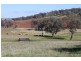 Old Gundagai Road, Cootamundra NSW 2590