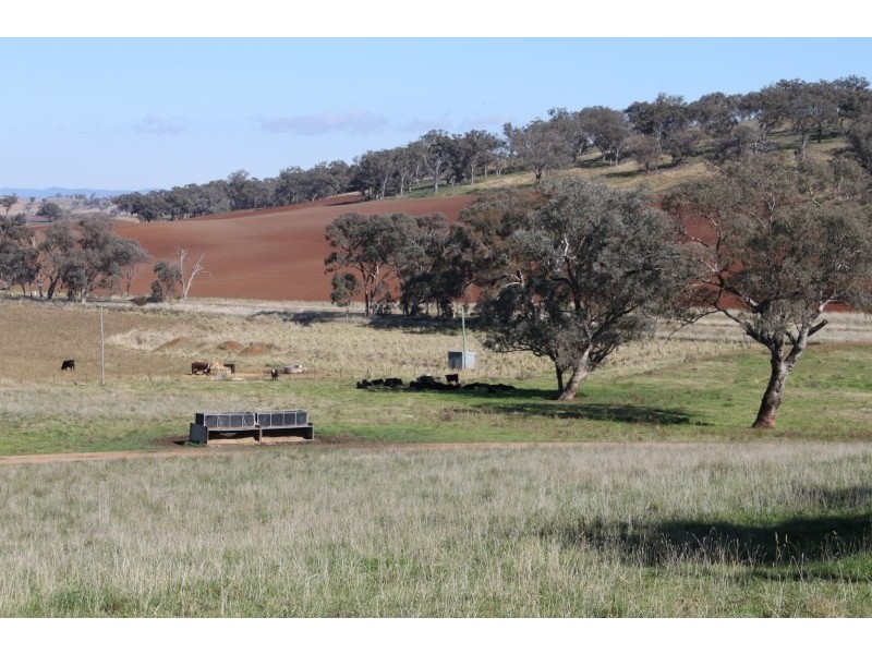 Old Gundagai Road, Cootamundra NSW 2590